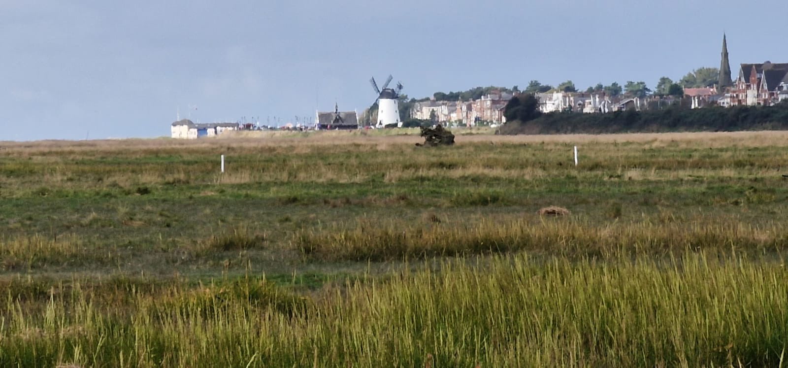 Protecting local estuaries: A clean up effort with a lasting impact